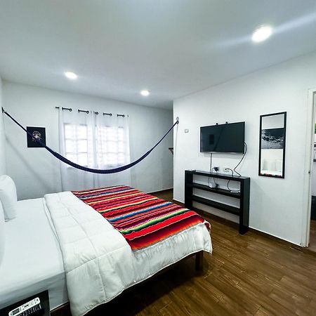 La Perle Noire - Dive Hotel Cozumel Ngoại thất bức ảnh