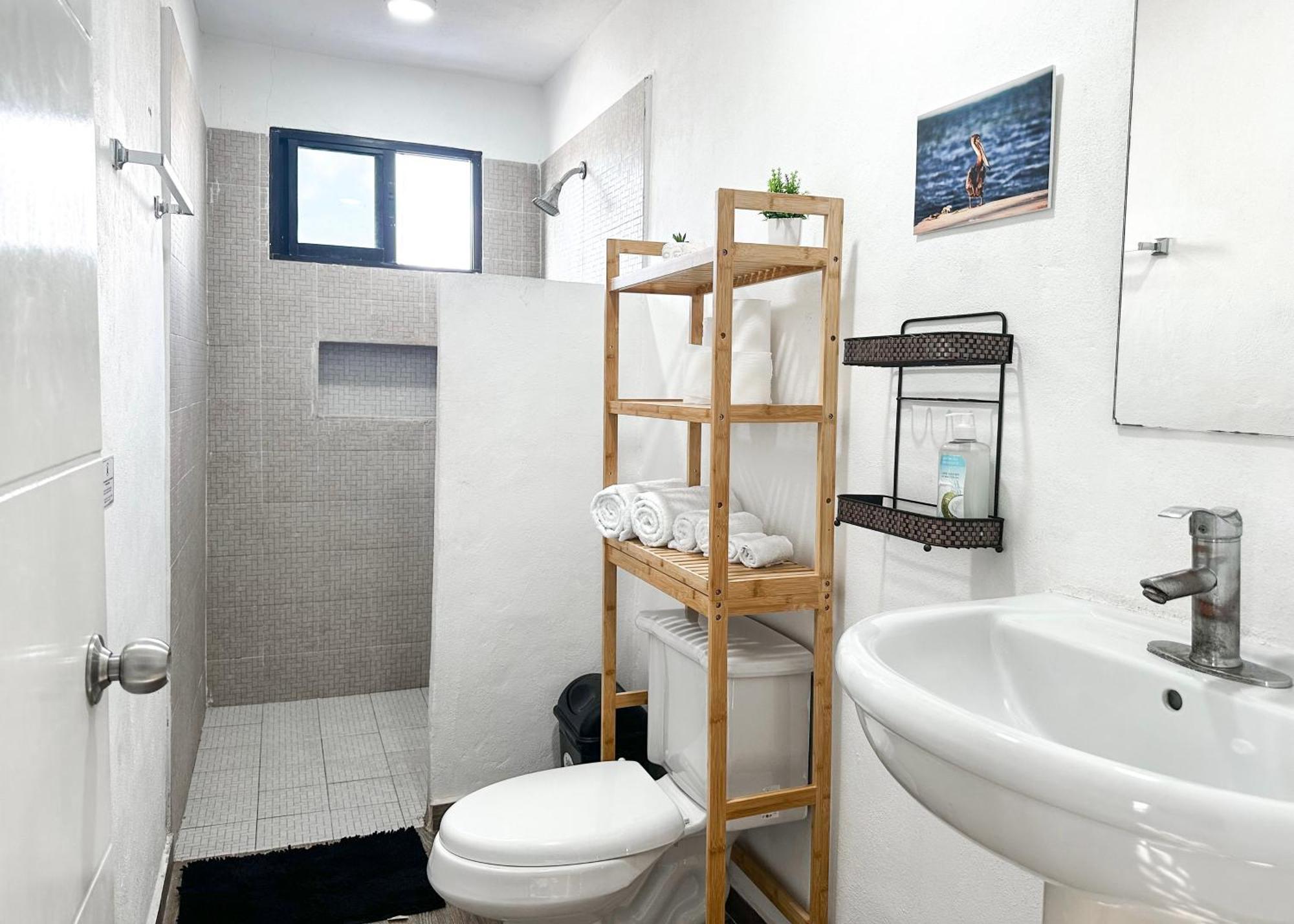 La Perle Noire - Dive Hotel Cozumel Ngoại thất bức ảnh